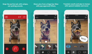 BarkCam