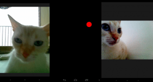 Snapcat