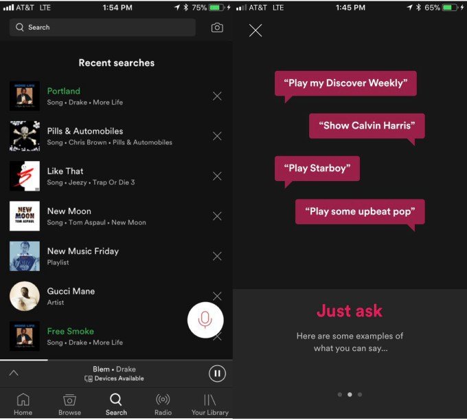 Spotify Uygulama İçi Sesli Arama