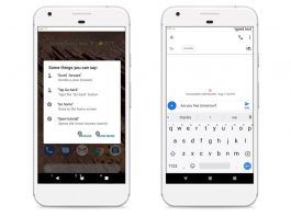 Google Voice Access